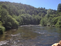 Se baigner dans l'Allier... :)