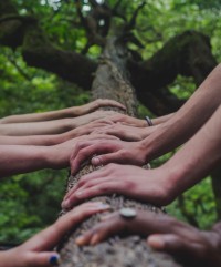 mains arbre reiki