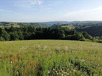 Vue champ du haut