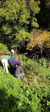 Cours nature de dos